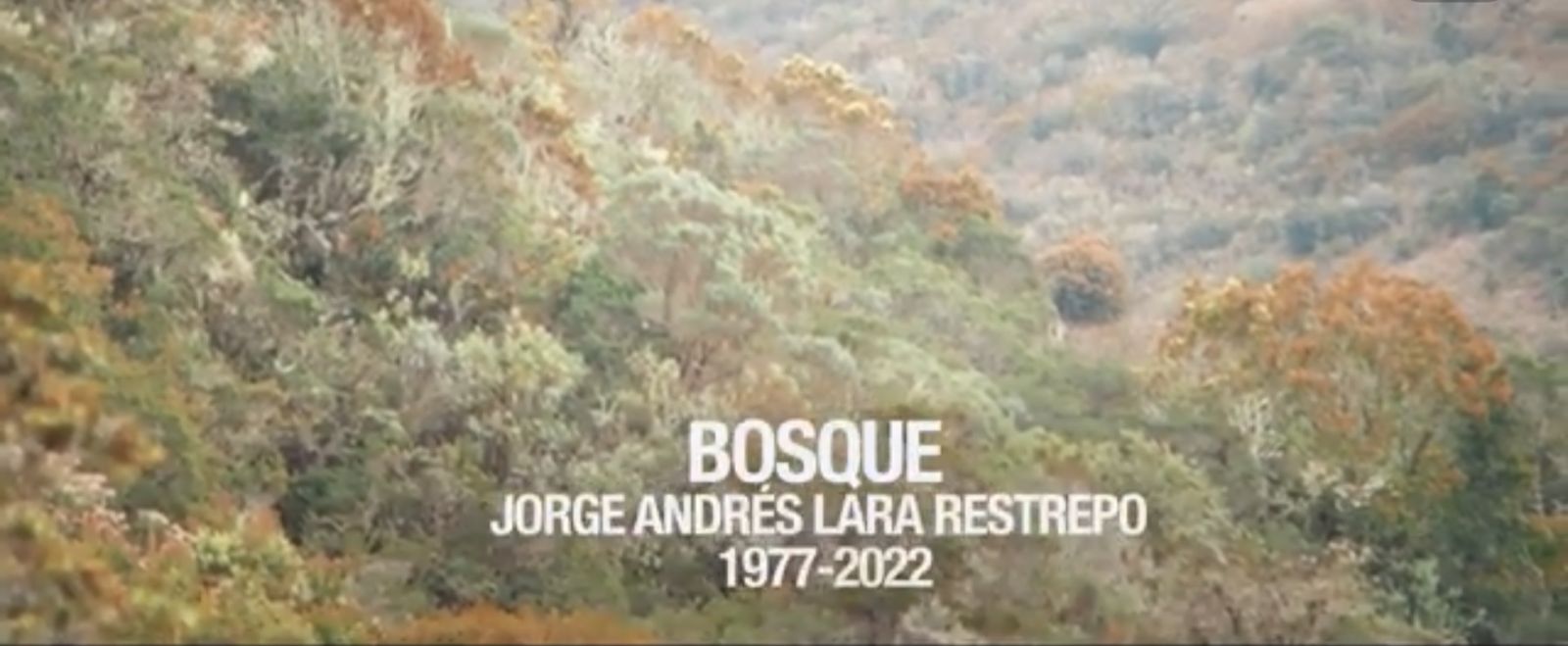 Imagen de WhatsApp 2024-03-18 a las 17.48.46_c056ef3a